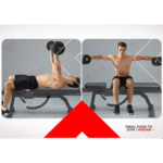 Banco De Pecho Plano Regulable Con Abdominales Profesional