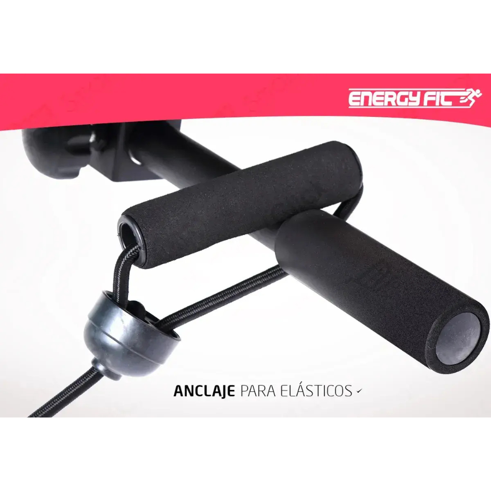 Banco Abdominales Curvo Boxeo + Mancuernas + Puching Ball