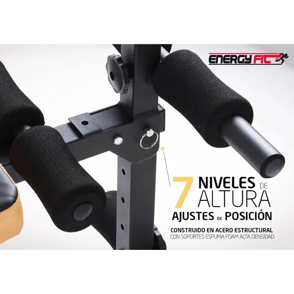 Banco Abdominales Curvo Plegable Regulable Reforzado Premium