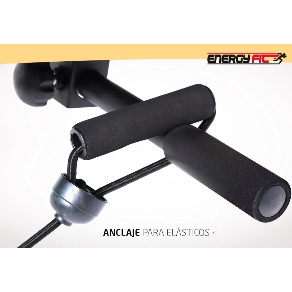 Banco Abdominales Curvo Plegable Regulable Reforzado Premium