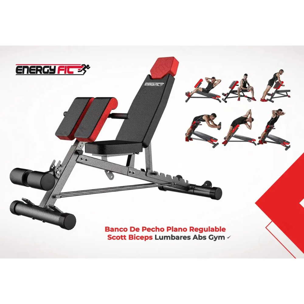 Banco De Pecho Plano Regulable Scott Biceps Lumbares Abs Gym