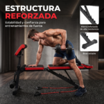 Banco Gym Plegable Multifunción Regulable Scott Abdominales